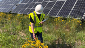 الاتجاهات الخمسة في تطور الطاقة الشمسية 2024